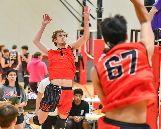 SIUE VB-8702