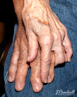 Leitner-6249