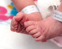 Whitleigh-7731-Edit